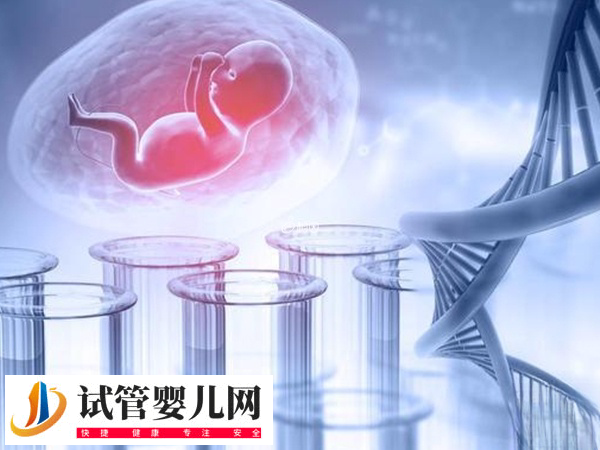 香港試管嬰兒技術如何(圖1)