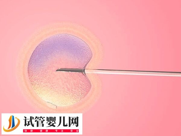 泰國試管嬰兒包成功可不可信(圖1)