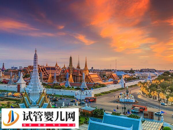 赴泰國做試管嬰兒怎么規(guī)避風(fēng)險(圖1) 赴泰國做試管嬰兒怎么規(guī)避風(fēng)險(圖1)