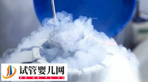 胚胎解凍移植內膜準備方案怎么選擇(圖1)