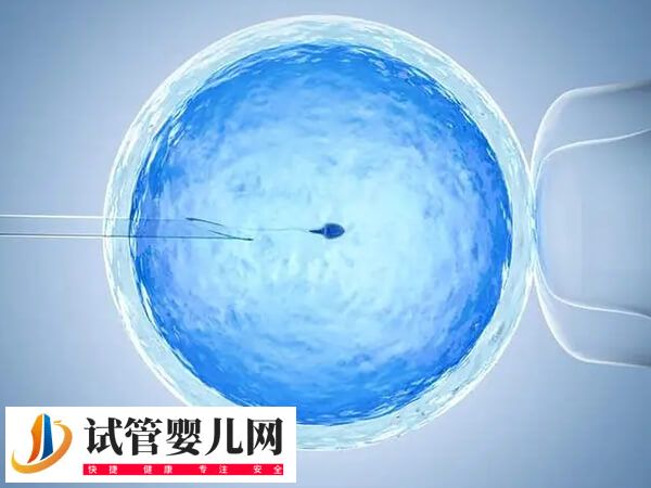 試管嬰兒一次成功率有多大(圖1)