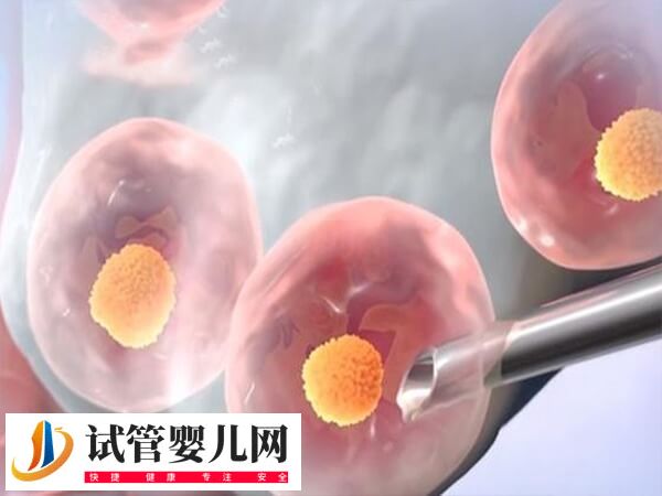 試管進入周期到移植鮮胚的過程是怎樣的
