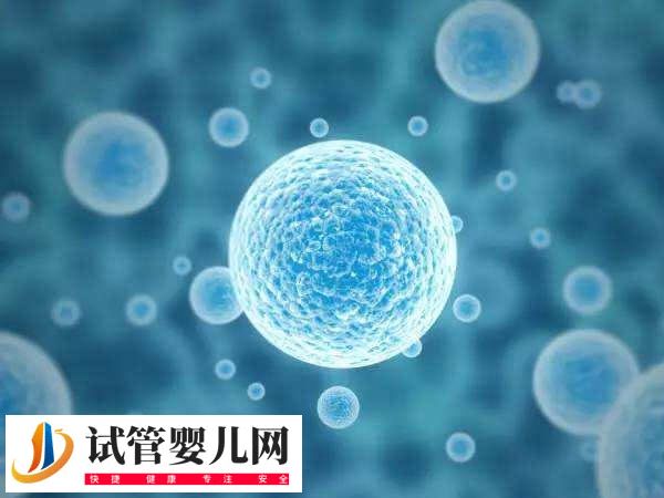 隔了3天卵泡才長了1mm正不正常