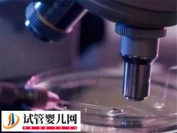 湖南湘潭醫院好還是湘雅醫院做試管好(圖2)